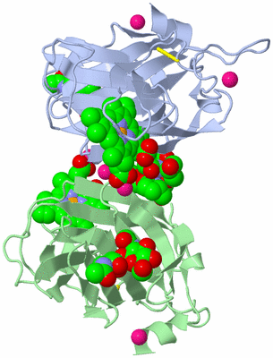 Image Asymmetric Unit