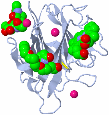 Image Biological Unit 1