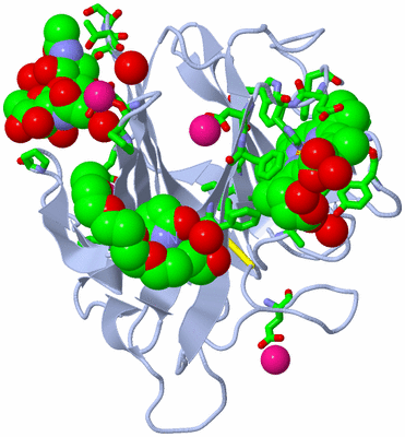 Image Biol. Unit 1 - sites