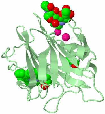 Image Biological Unit 2