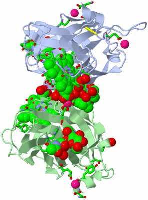 Image Asym. Unit - sites