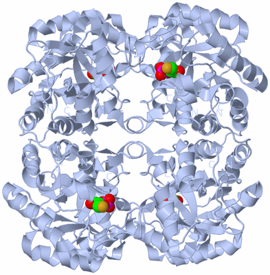 Image Biological Unit 1