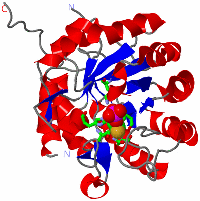 Image Asym. Unit - sites