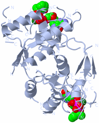 Image Biological Unit 1