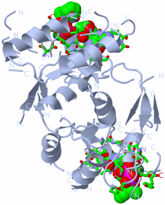Image Biol. Unit 1 - sites