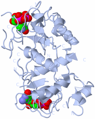 Image Biological Unit 1