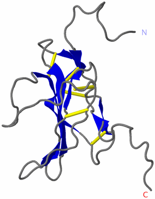 Image NMR Structure - model 1