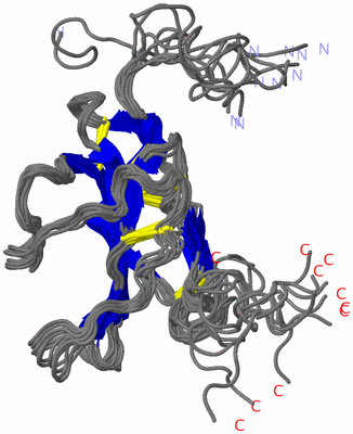 Image NMR Structure - all models