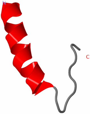 Image NMR Structure - model 1