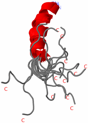 Image NMR Structure - all models