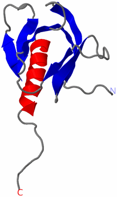 Image NMR Structure - model 1