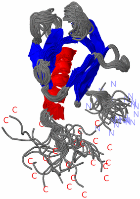 Image NMR Structure - all models