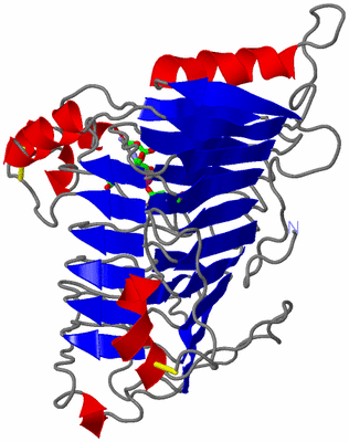 Image Asym./Biol. Unit - sites