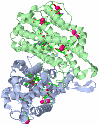 Image Asym./Biol. Unit - sites