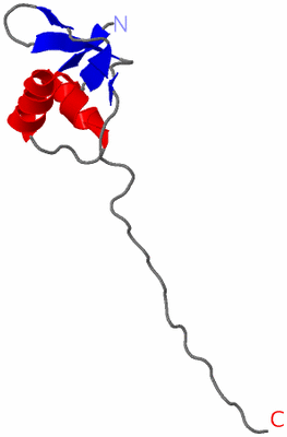 Image NMR Structure - model 1