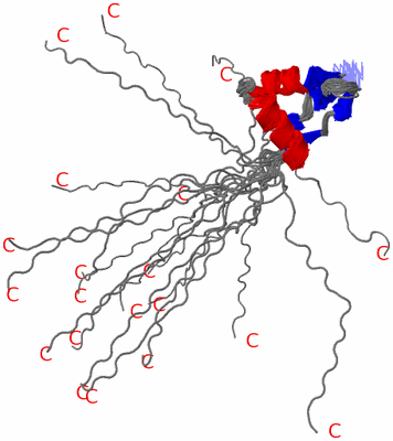 Image NMR Structure - all models