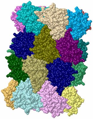 Image Asym./Biol. Unit