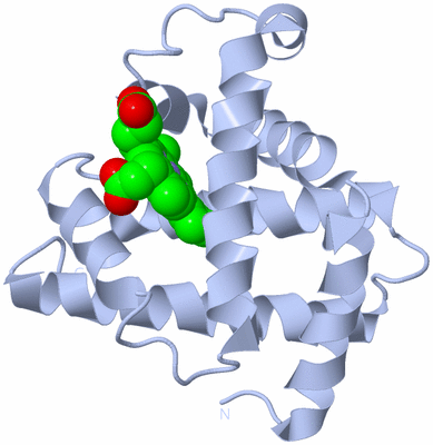 Image Biological Unit 1