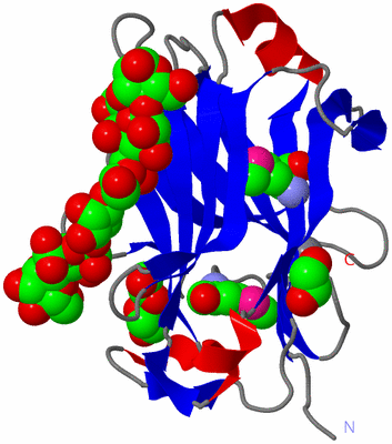 Image Asym./Biol. Unit