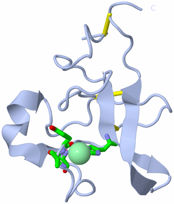 Image Biol. Unit 1 - sites