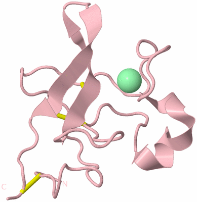 Image Biological Unit 3