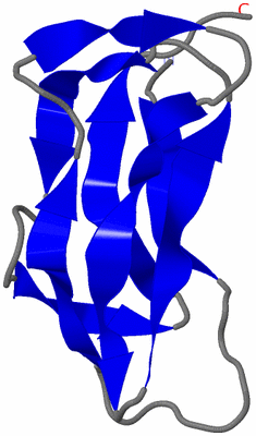 Image NMR Structure - model 1