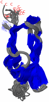 Image NMR Structure - all models