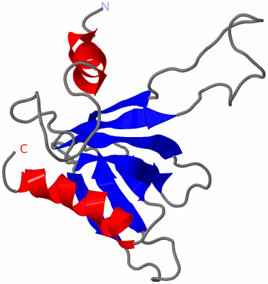 Image NMR Structure - model 1