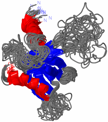 Image NMR Structure - all models