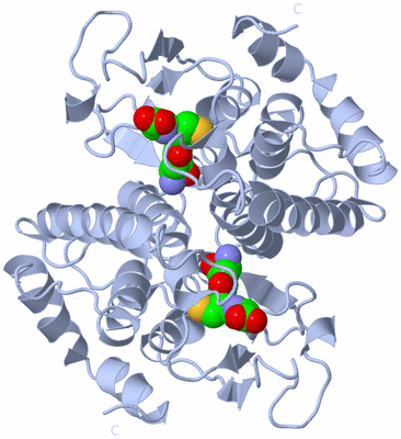 Image Biological Unit 1