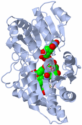 Image Biological Unit 1