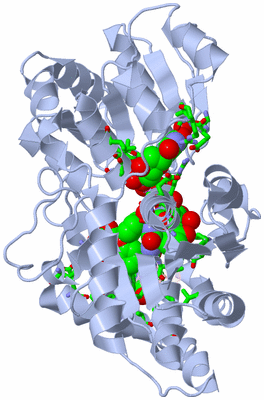 Image Biol. Unit 1 - sites