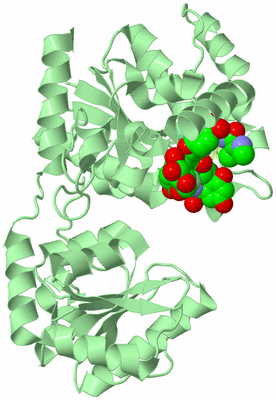 Image Biological Unit 2