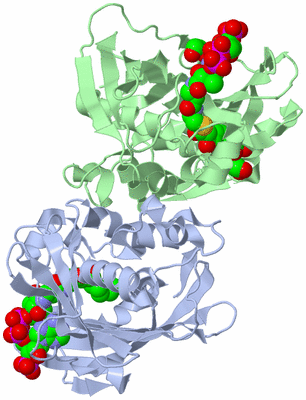 Image Biological Unit 1