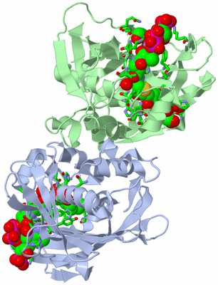 Image Biol. Unit 1 - sites