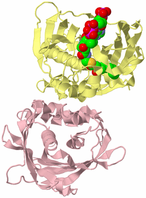 Image Biological Unit 2