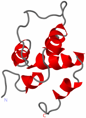Image NMR Structure - model 1