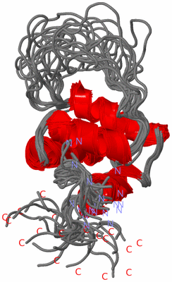 Image NMR Structure - all models
