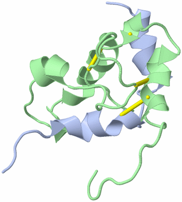 Image NMR Structure - model 1