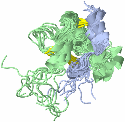 Image NMR Structure - all models