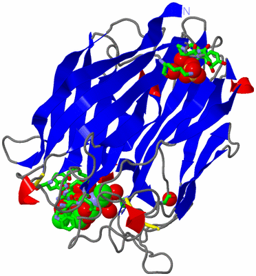 Image Asym./Biol. Unit - sites