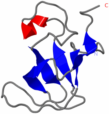 Image NMR Structure - model 1