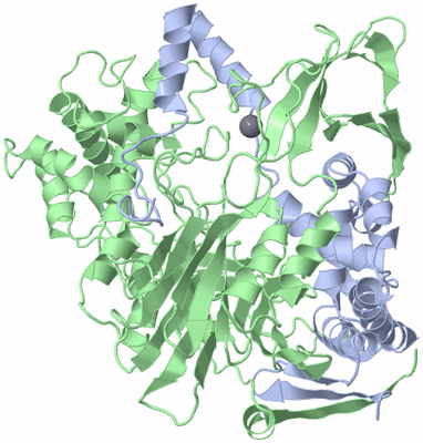 Image Asym./Biol. Unit