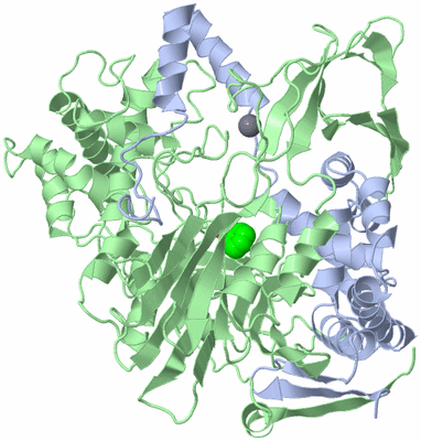 Image Asym./Biol. Unit