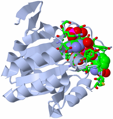 Image Biol. Unit 1 - sites