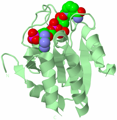 Image Biological Unit 2