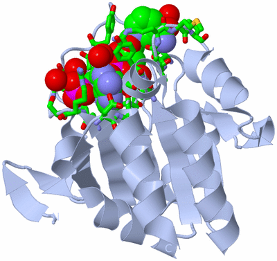 Image Biol. Unit 1 - sites