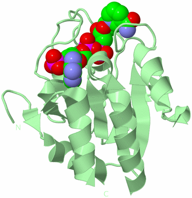 Image Biological Unit 2