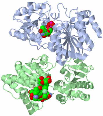 Image Asym./Biol. Unit