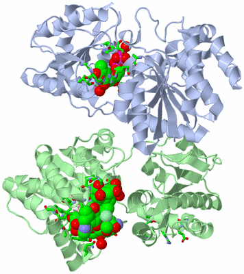 Image Asym./Biol. Unit - sites